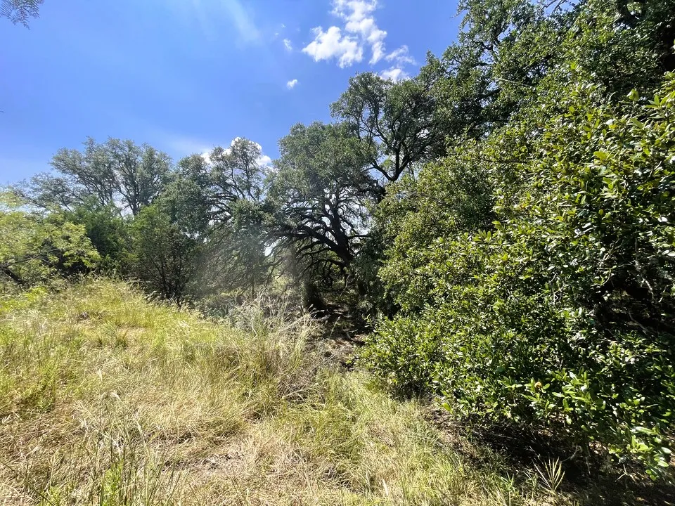 153 Live Oak Mott Drive Goldthwaite, TX 76844