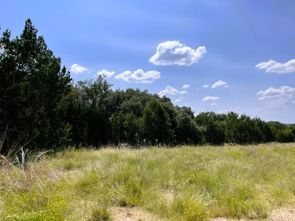 153 Live Oak Mott Drive Goldthwaite, TX 76844