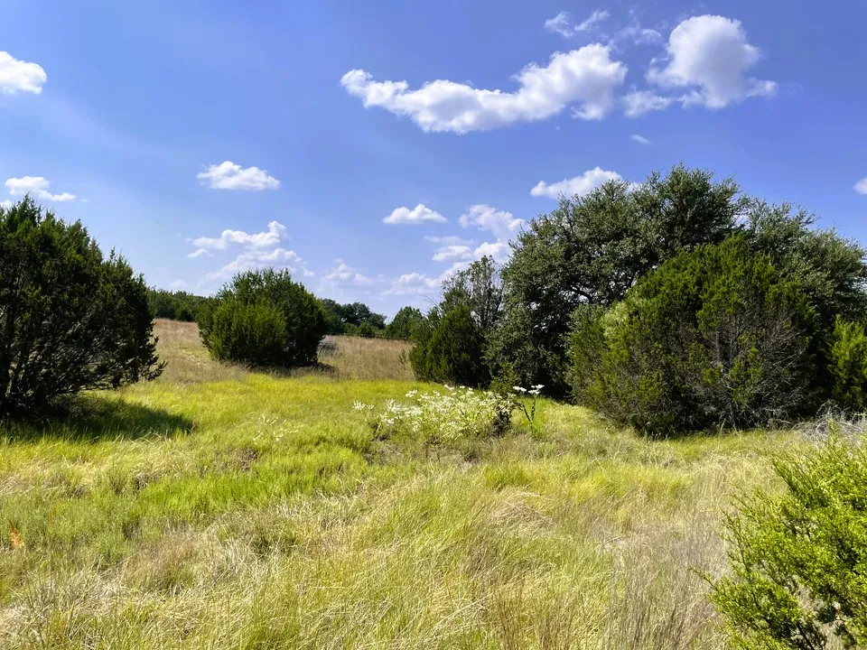 153 Live Oak Mott Drive Goldthwaite, TX 76844