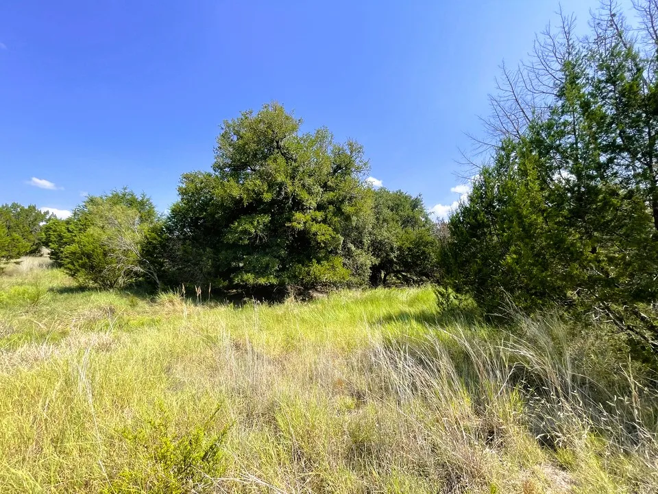 153 Live Oak Mott Drive Goldthwaite, TX 76844