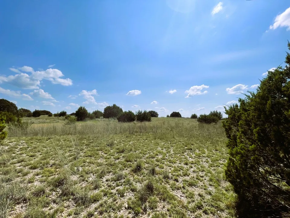 153 Live Oak Mott Drive Goldthwaite, TX 76844