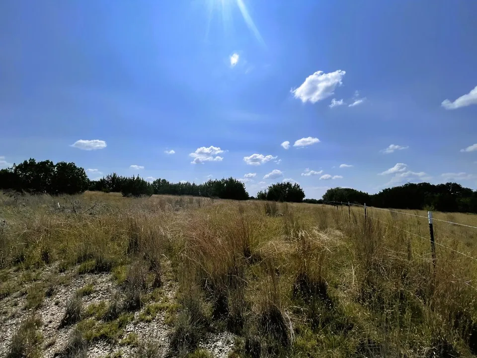 153 Live Oak Mott Drive Goldthwaite, TX 76844