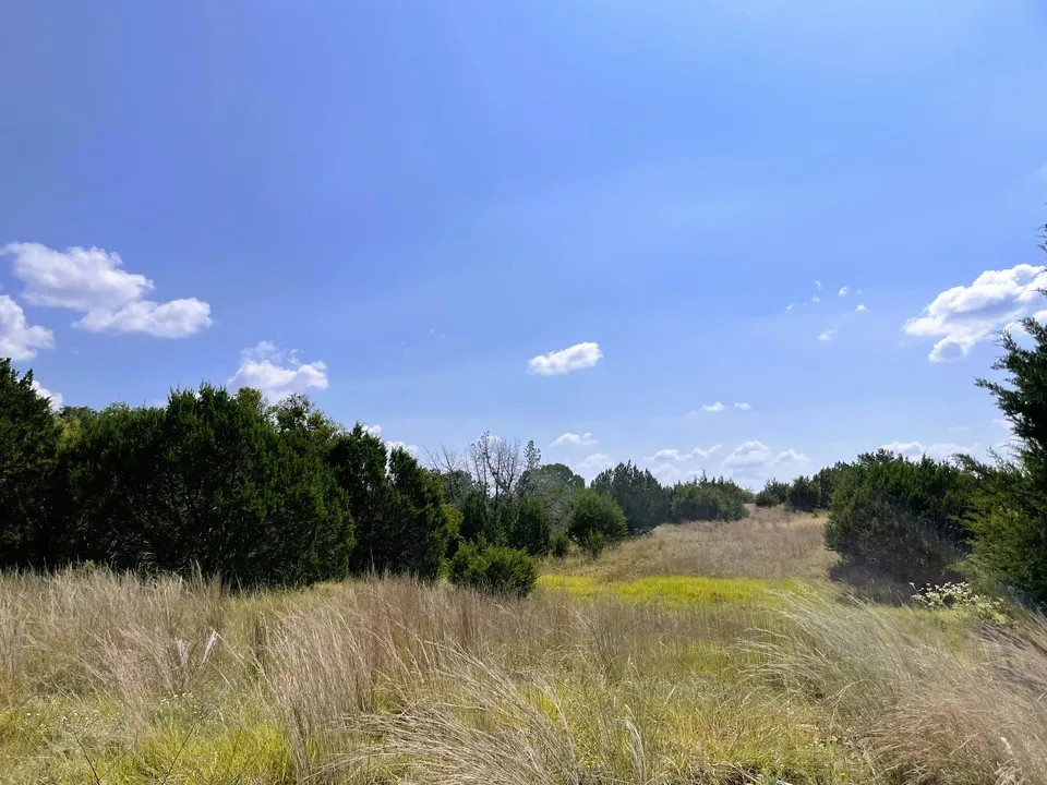 153 Live Oak Mott Drive Goldthwaite, TX 76844