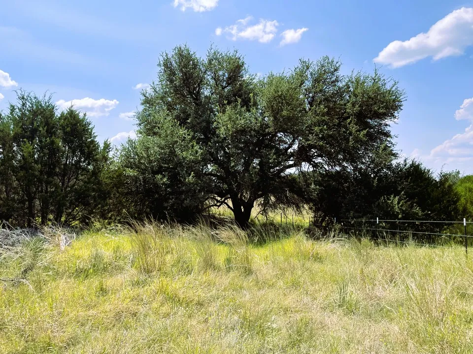 153 Live Oak Mott Drive Goldthwaite, TX 76844