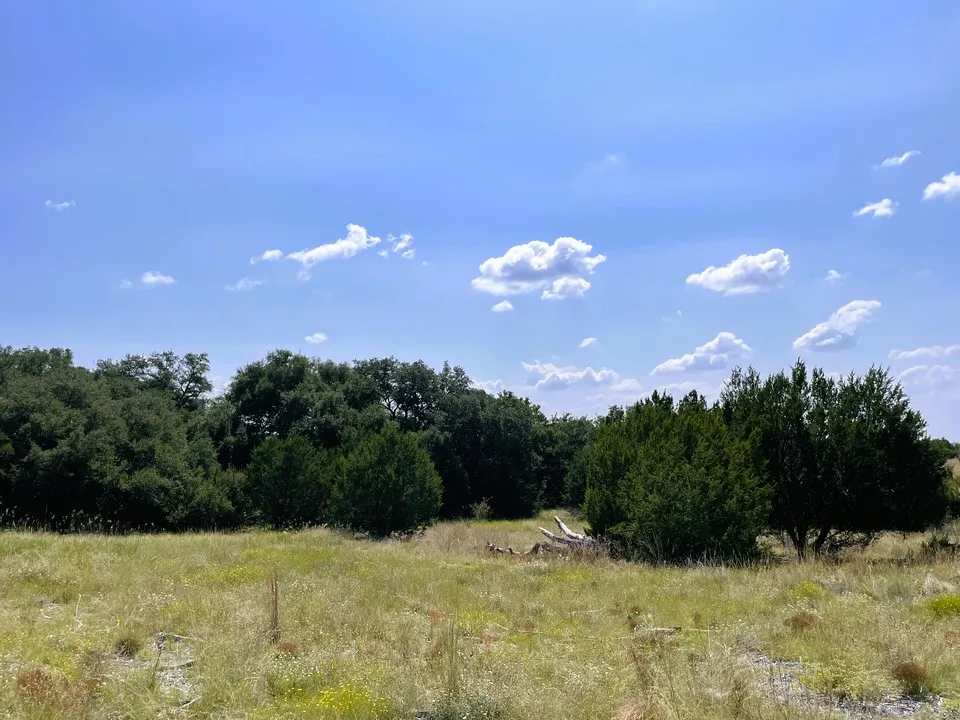 153 Live Oak Mott Drive Goldthwaite, TX 76844