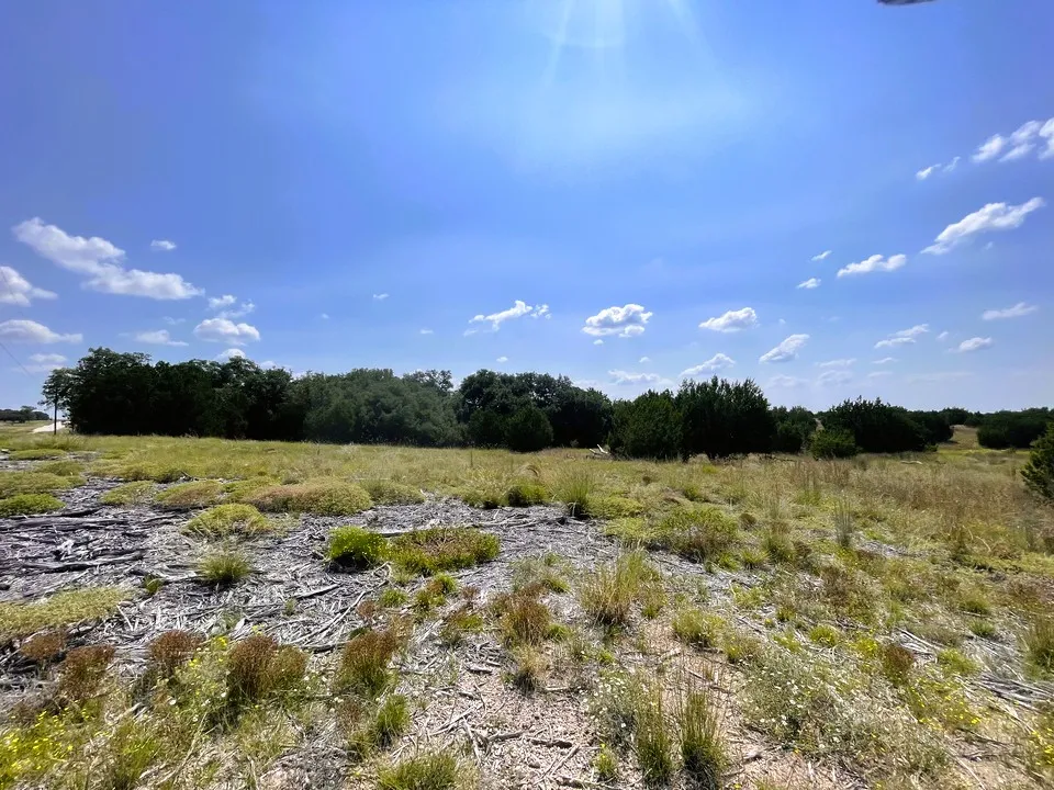 153 Live Oak Mott Drive Goldthwaite, TX 76844