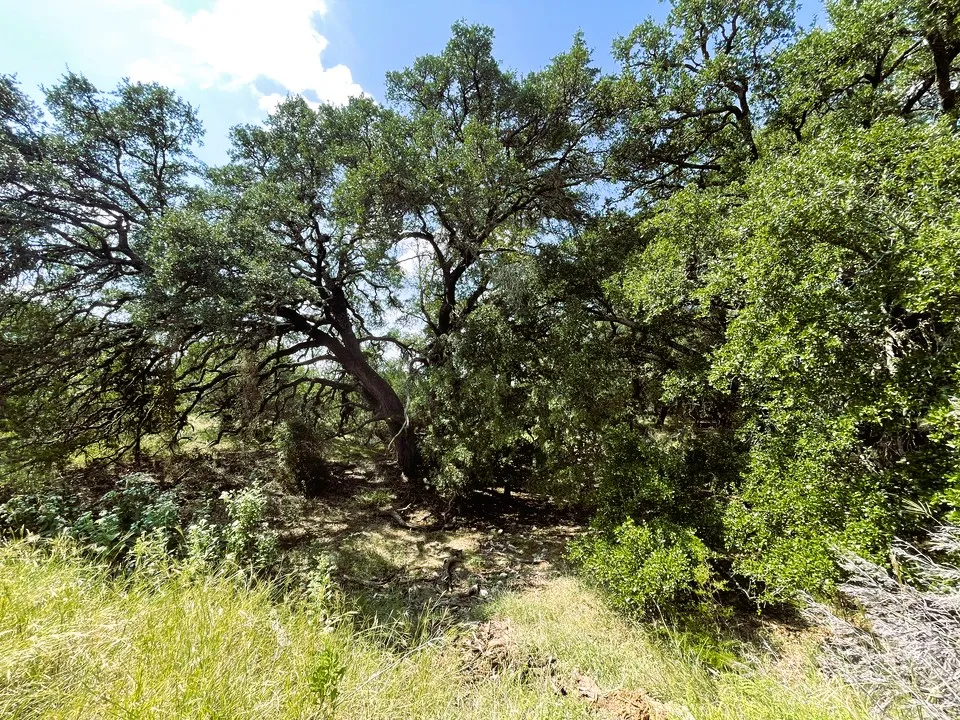 153 Live Oak Mott Drive Goldthwaite, TX 76844