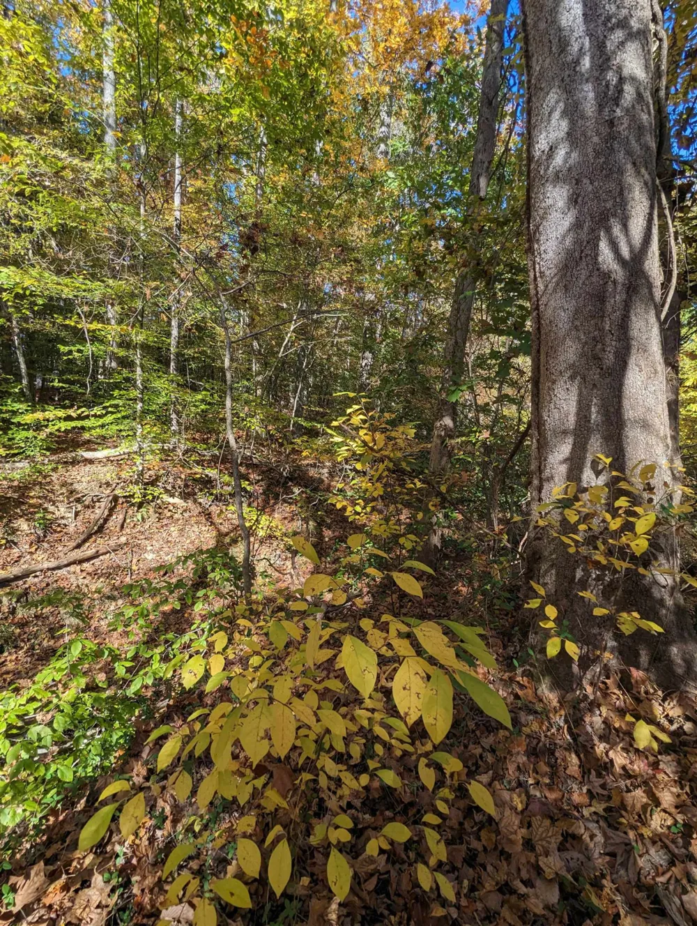 16 Grace Stone Drive Clarksville, VA 23927