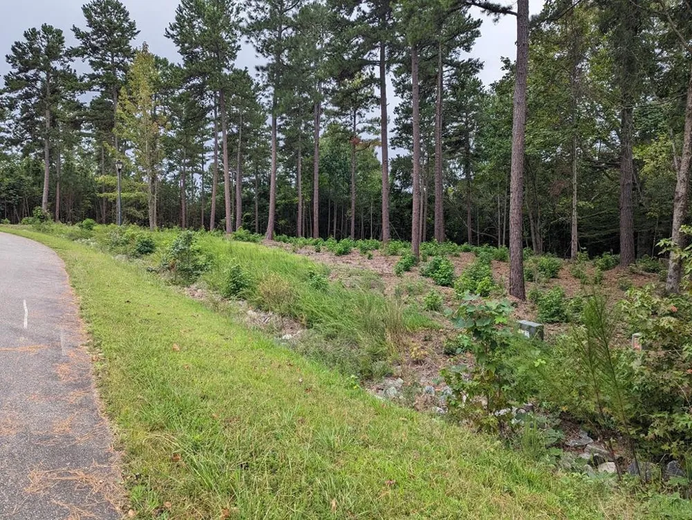 Lot 18 Grace Stone Drive Clarksville, VA 23927