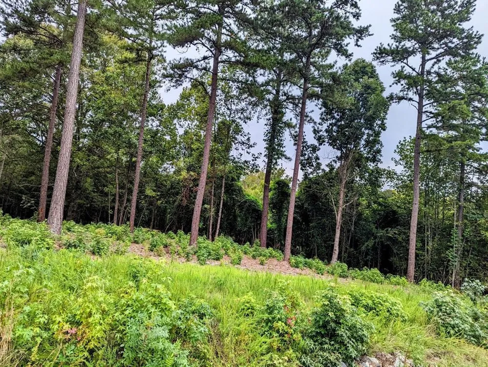 Lot 18 Grace Stone Drive Clarksville, VA 23927