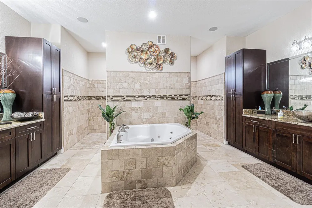 13102 DONE GROVEN DRIVE Dover, FL 33527