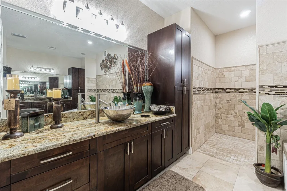13102 DONE GROVEN DRIVE Dover, FL 33527