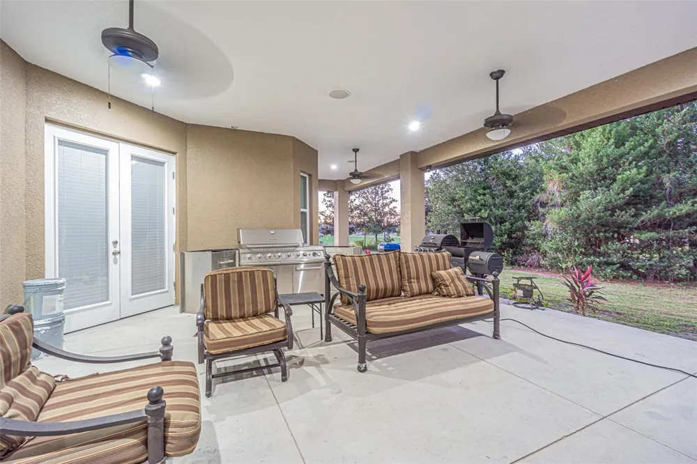 13102 DONE GROVEN DRIVE Dover, FL 33527