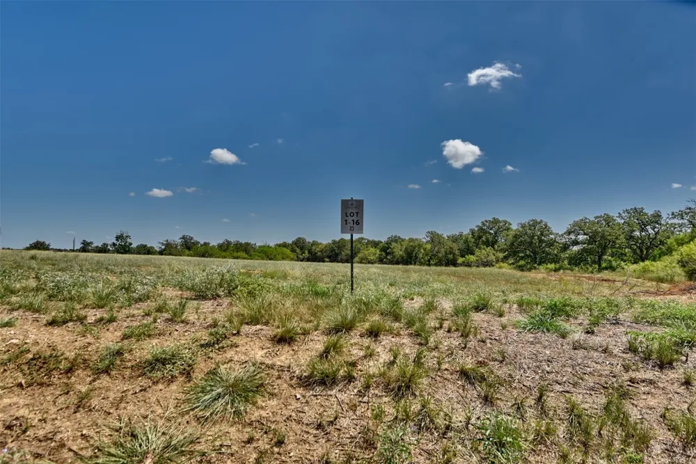 166 Sunny Day Dr Red Rock, TX 78662