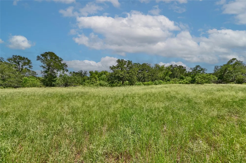 166 Sunny Day Dr Red Rock, TX 78662
