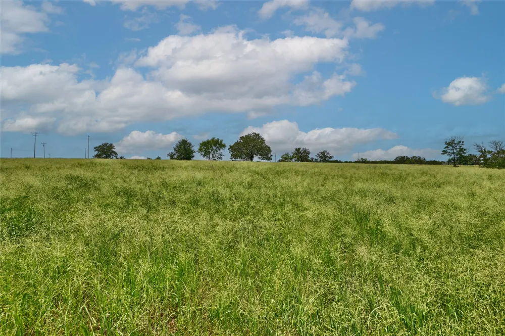 166 Sunny Day Dr Red Rock, TX 78662