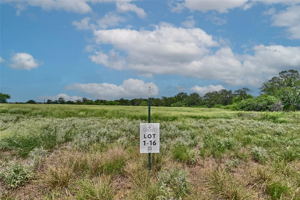 166 Sunny Day Dr Red Rock, TX 78662