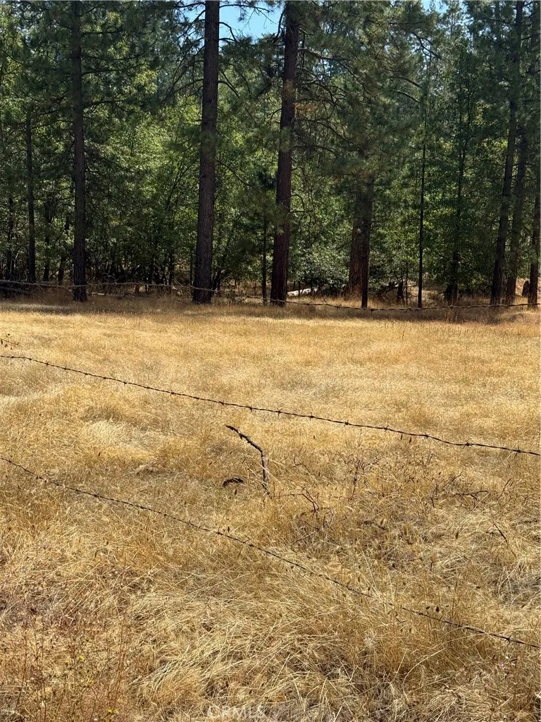6479 Pine Drive Coulterville, CA 95311