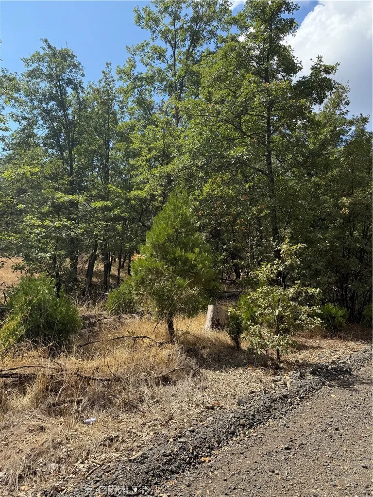 6479 Pine Drive Coulterville, CA 95311