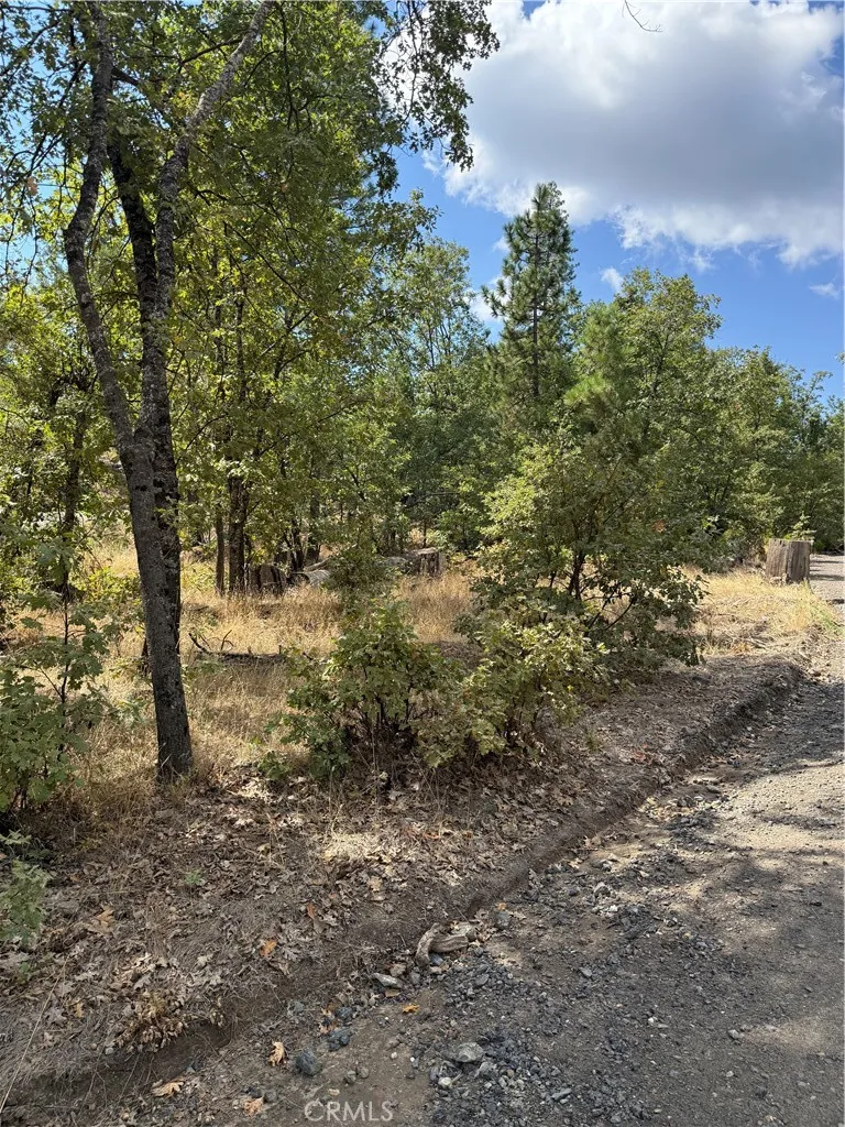 6479 Pine Drive Coulterville, CA 95311