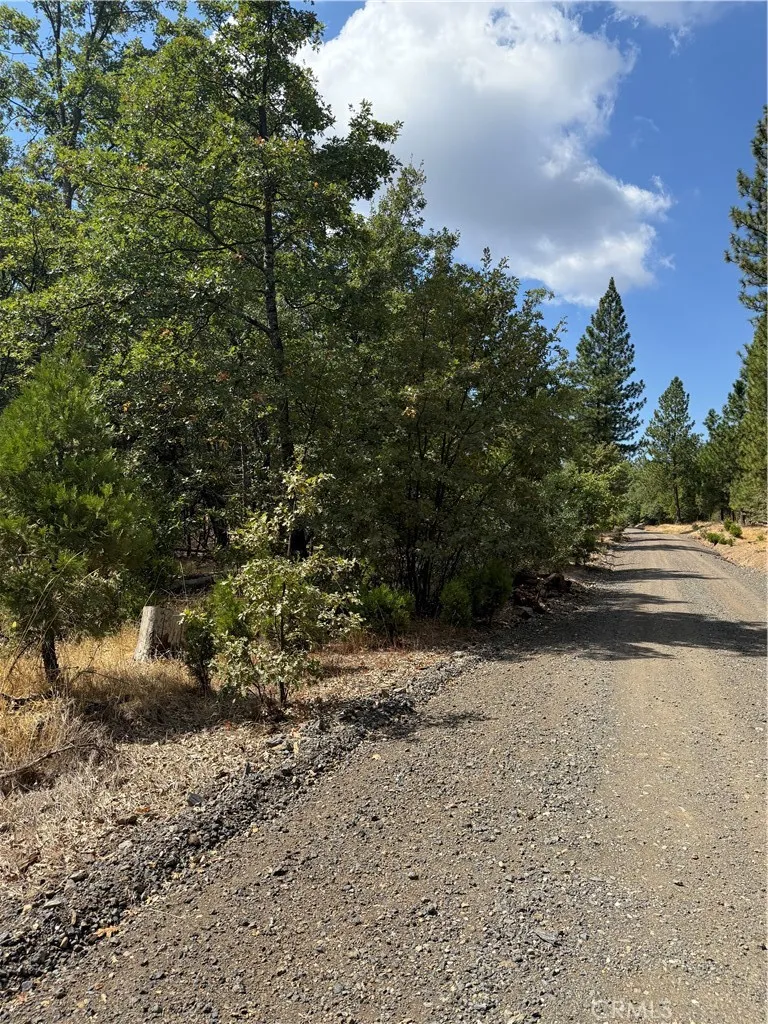 6479 Pine Drive Coulterville, CA 95311