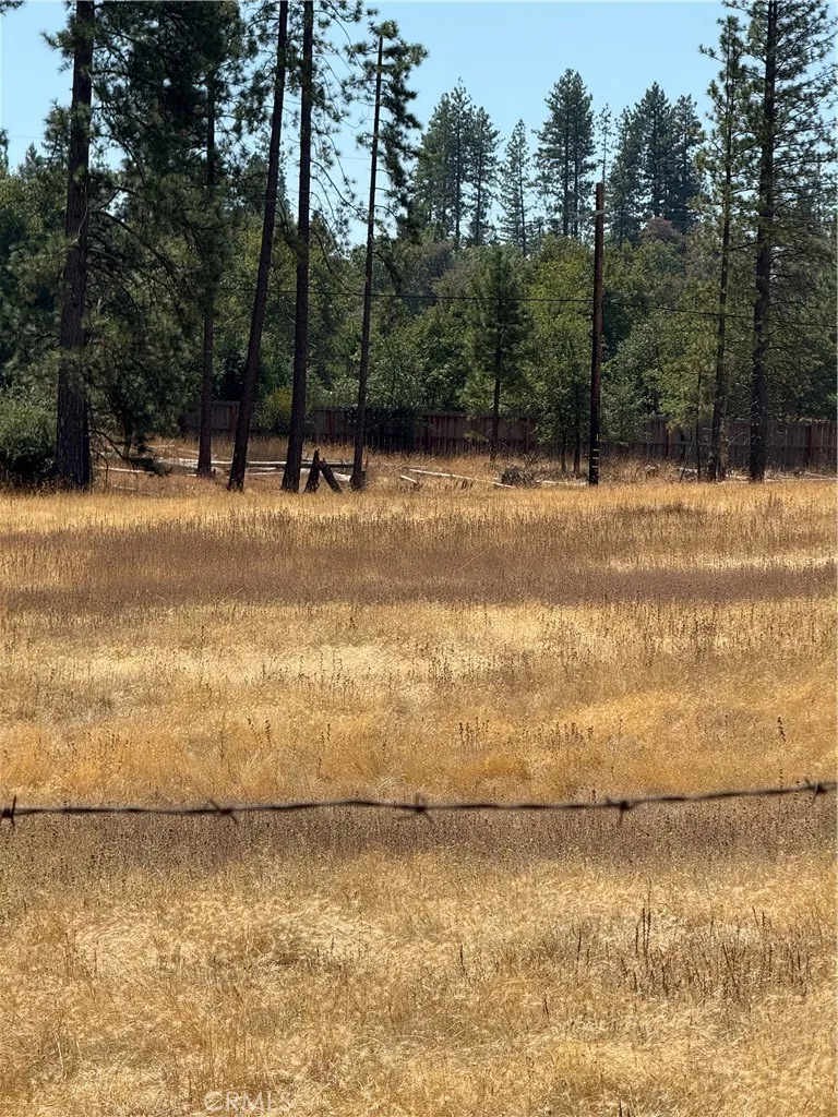 6479 Pine Drive Coulterville, CA 95311