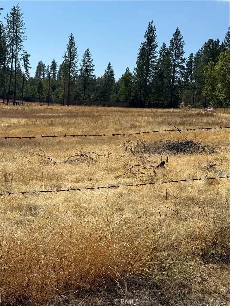 6479 Pine Drive Coulterville, CA 95311