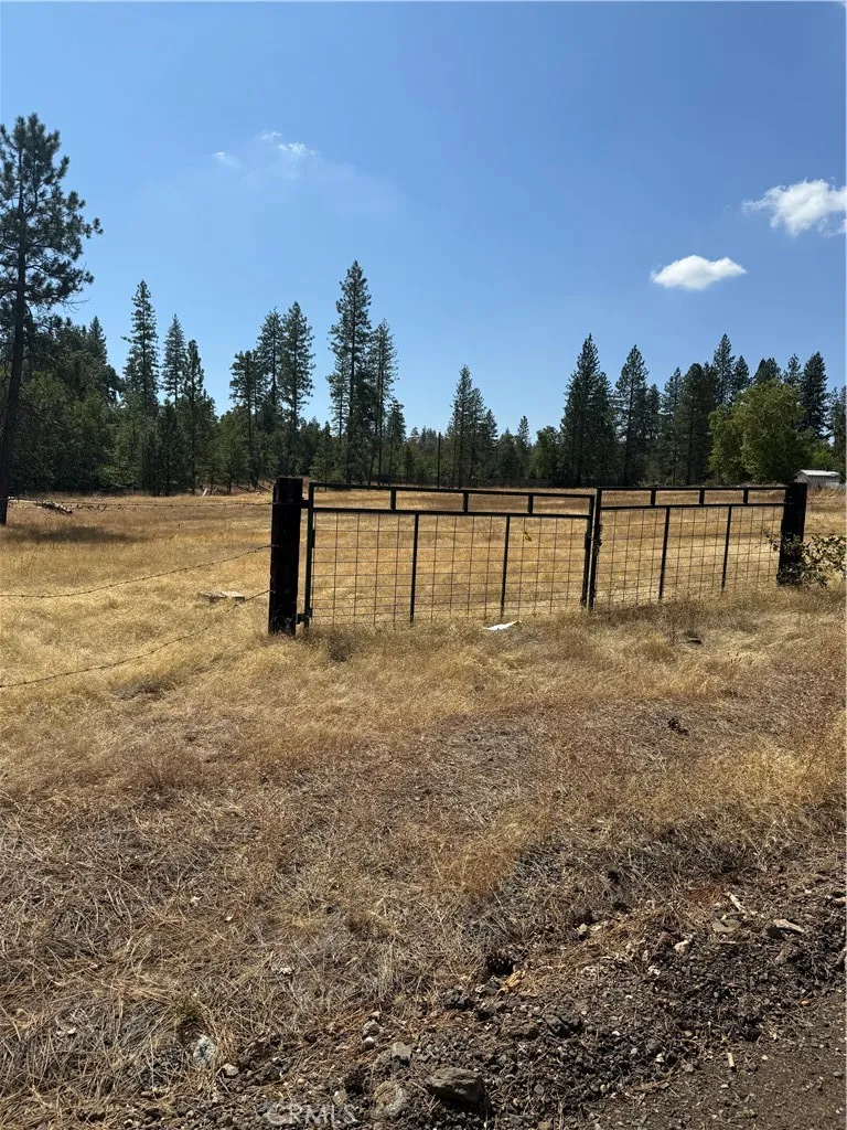 6479 Pine Drive Coulterville, CA 95311