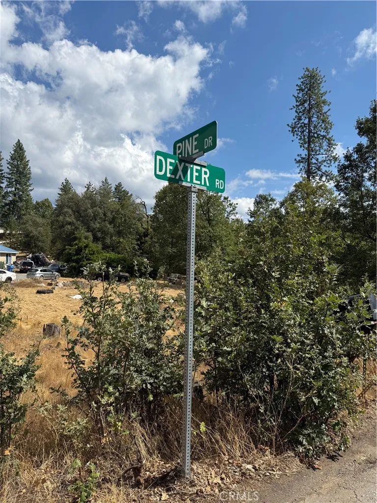 6479 Pine Drive Coulterville, CA 95311
