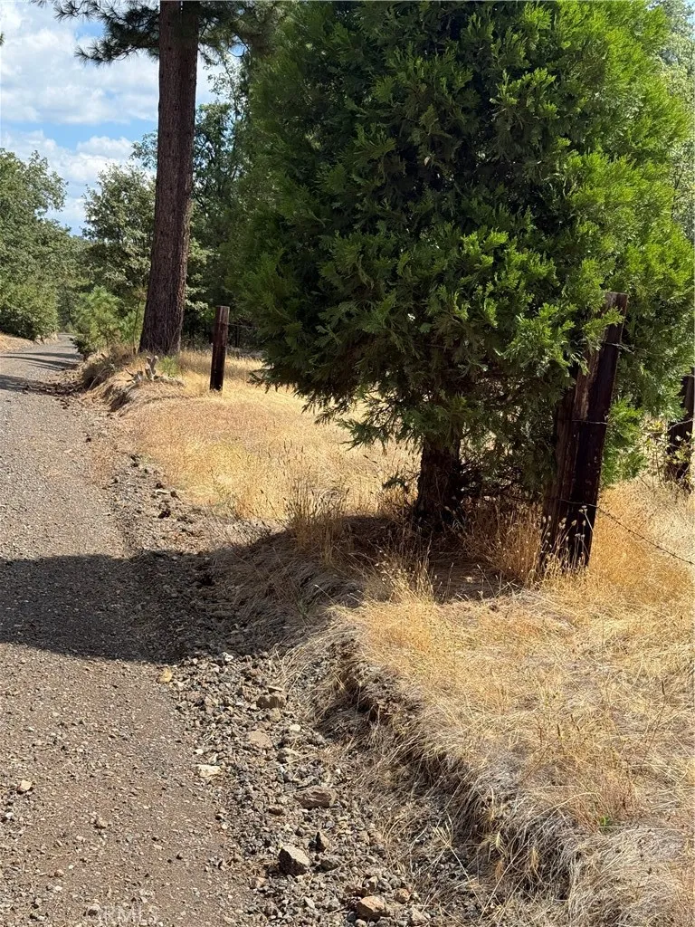 6479 Pine Drive Coulterville, CA 95311