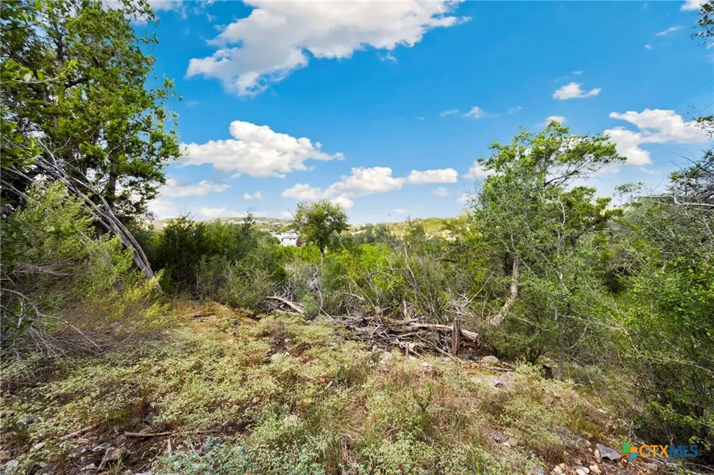1484 Stahlman Way New Braunfels, TX 78132