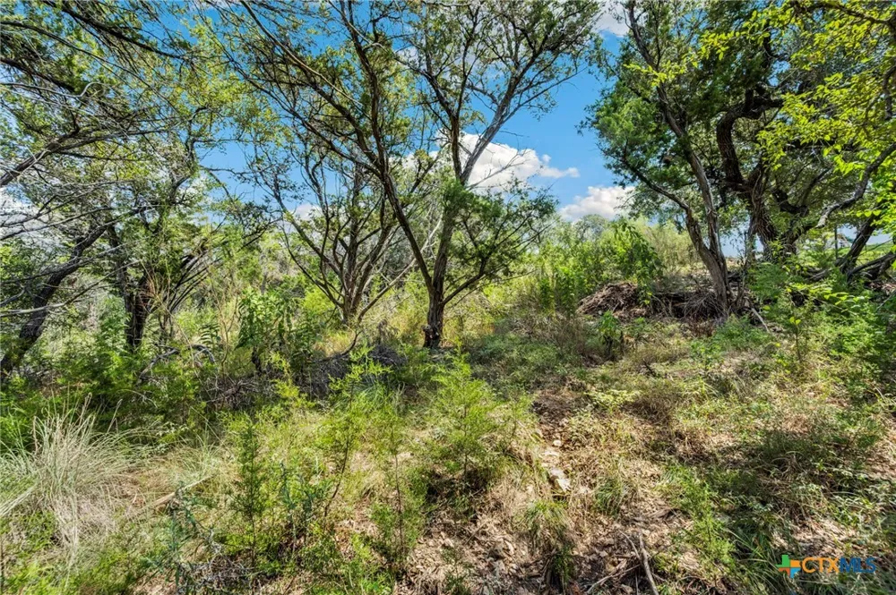 1484 Stahlman Way New Braunfels, TX 78132