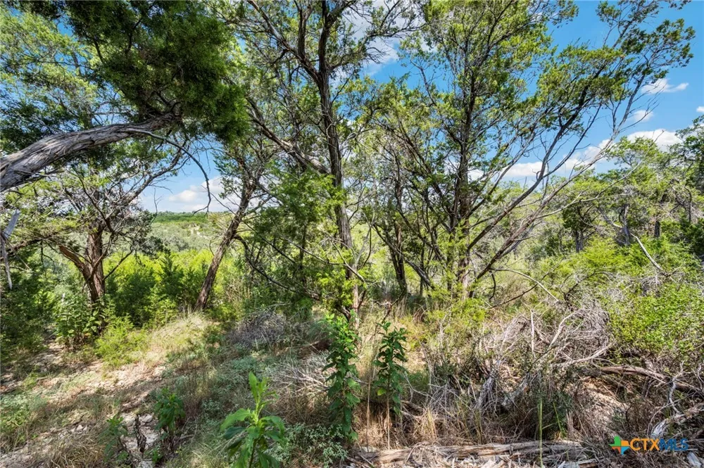 1484 Stahlman Way New Braunfels, TX 78132