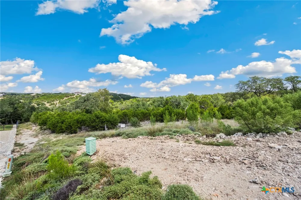 1484 Stahlman Way New Braunfels, TX 78132