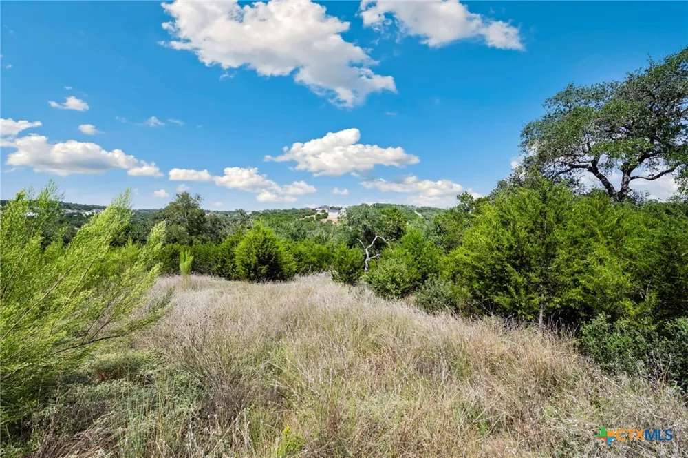 1484 Stahlman Way New Braunfels, TX 78132