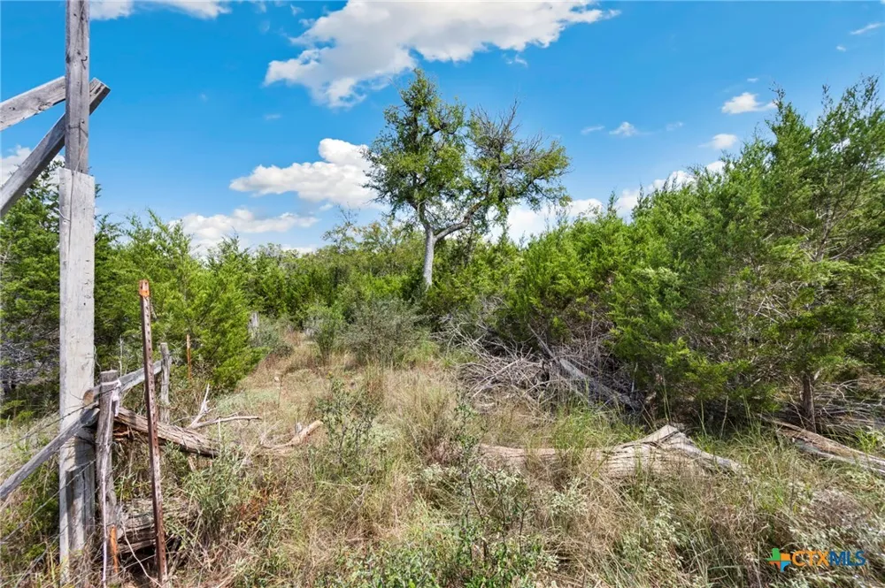 1484 Stahlman Way New Braunfels, TX 78132