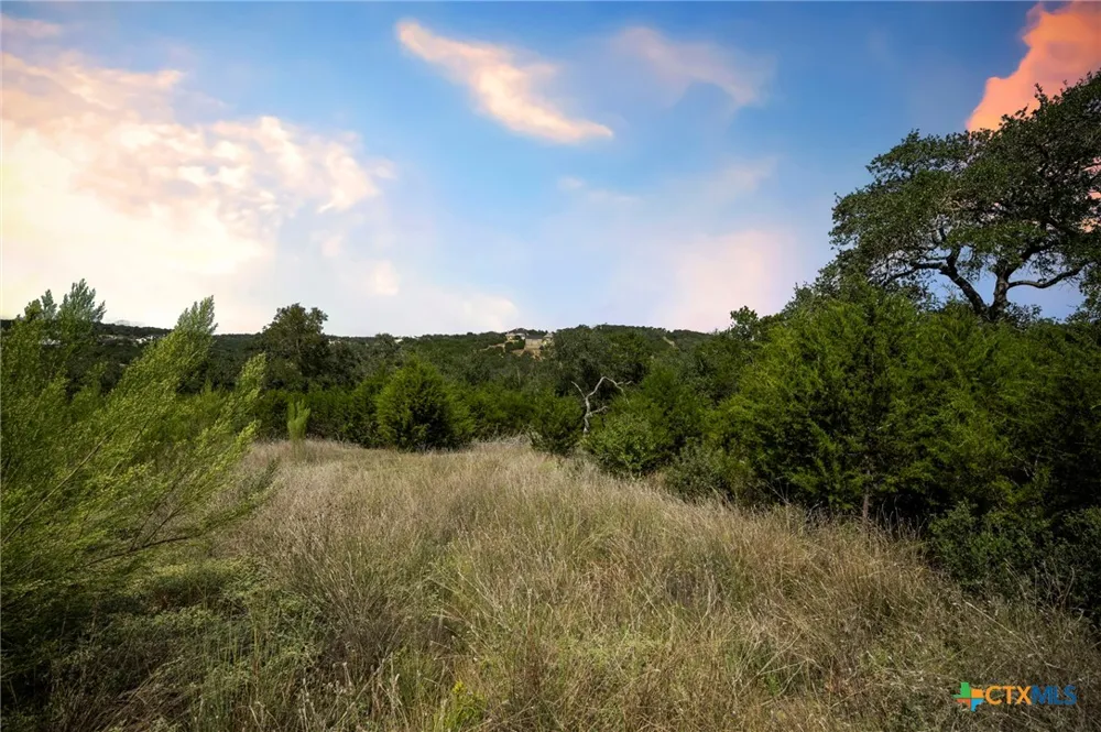 1484 Stahlman Way New Braunfels, TX 78132