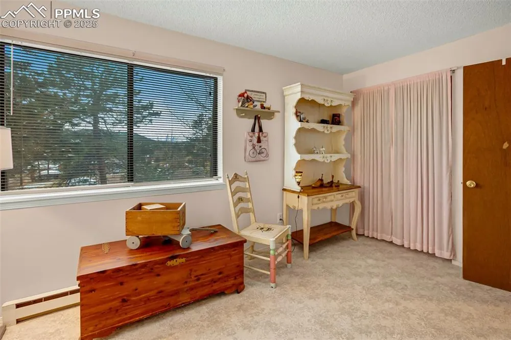 560 Manor Court #A Woodland Park, CO 80863