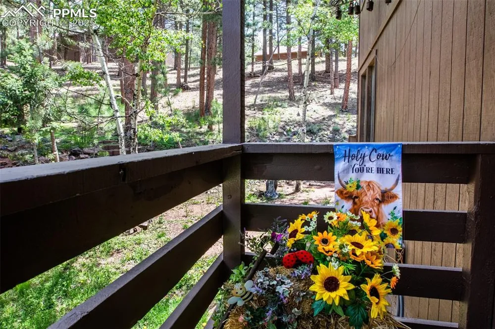 560 Manor Court #A Woodland Park, CO 80863