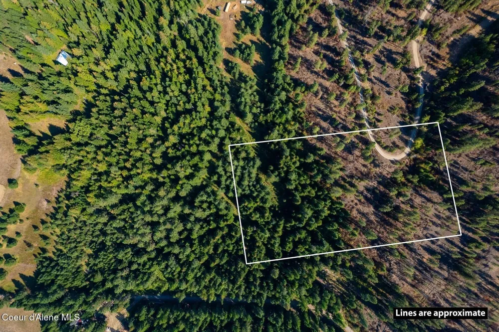 Lot 2A Moose Mountain Road Priest River, ID 83856