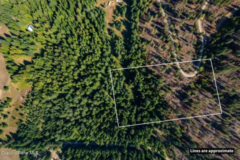 Lot 2A Moose Mountain Road