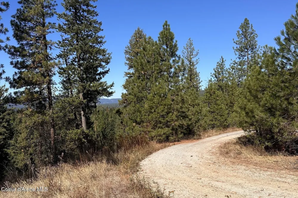 Lot 2A Moose Mountain Road Priest River, ID 83856