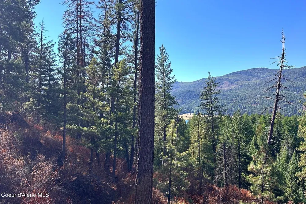 Lot 2A Moose Mountain Road Priest River, ID 83856