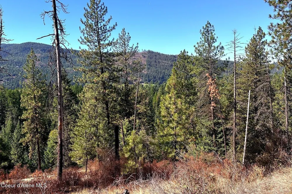 Lot 2A Moose Mountain Road Priest River, ID 83856