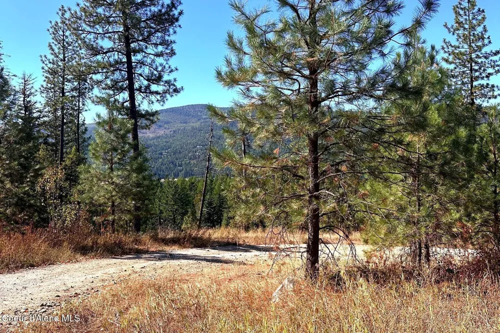 Lot 2A Moose Mountain Road Priest River, ID 83856