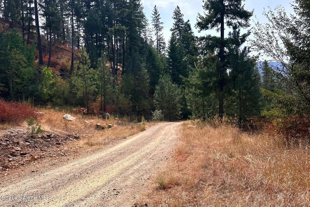 Lot 2A Moose Mountain Road Priest River, ID 83856