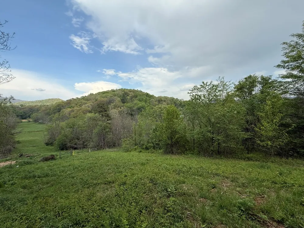 Northridge Drive Canton, NC 28716