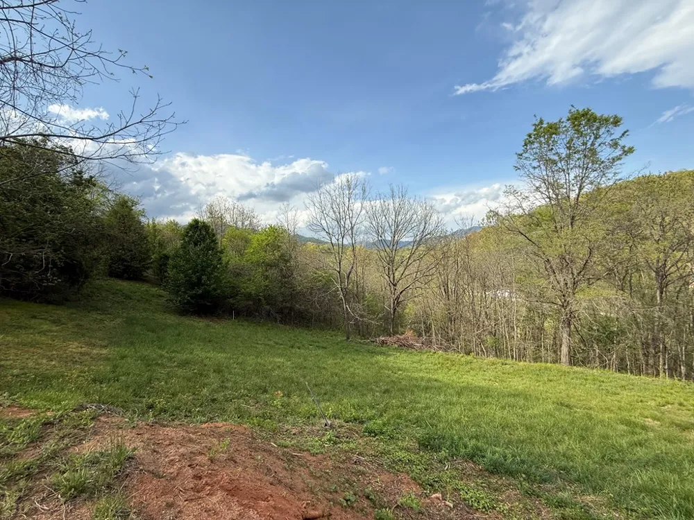 Northridge Drive Canton, NC 28716