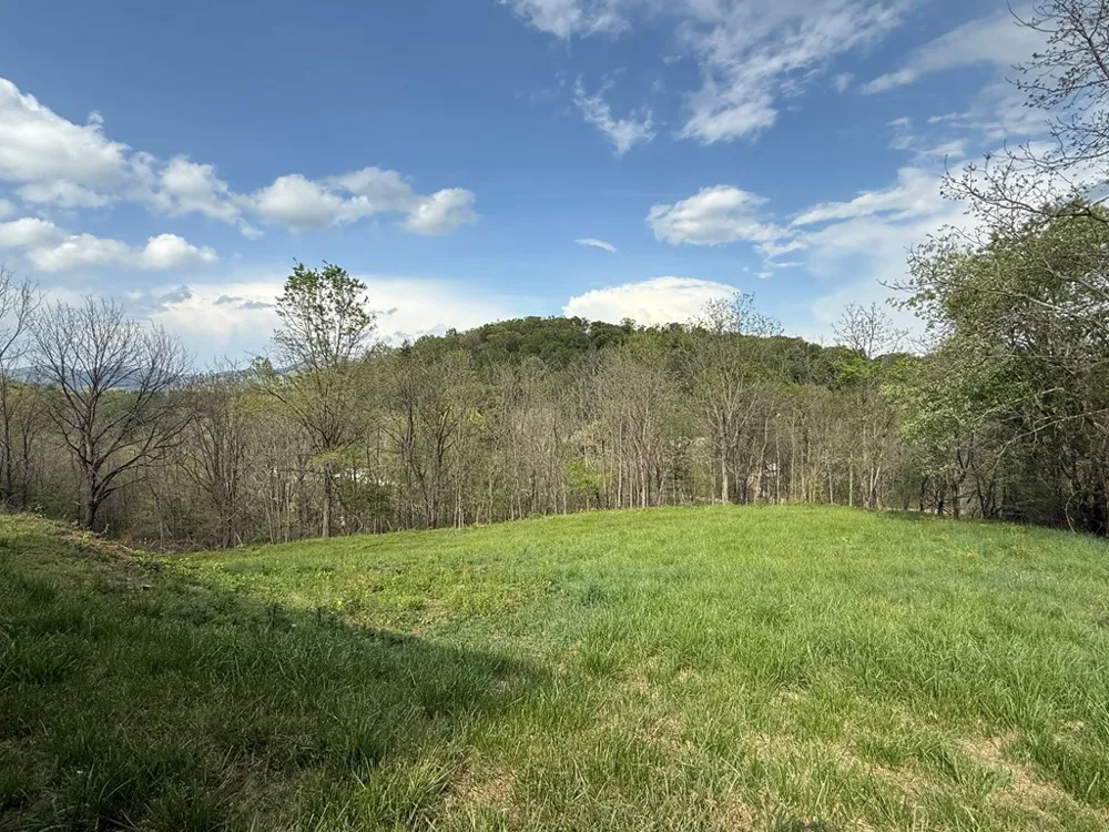 Northridge Drive Canton, NC 28716
