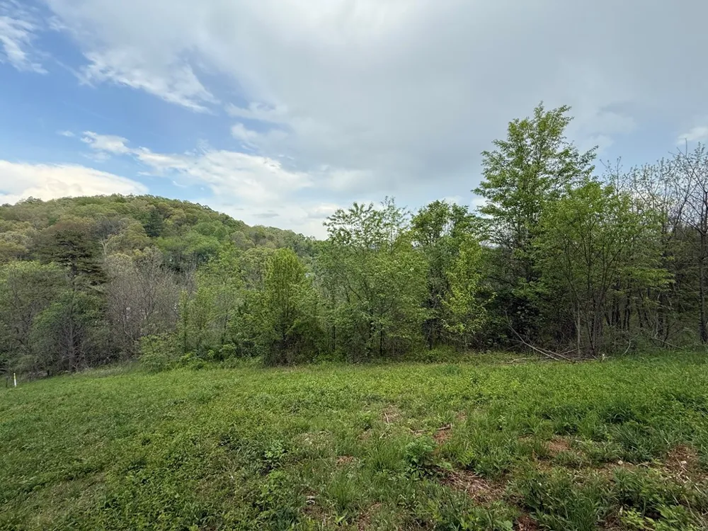 Northridge Drive Canton, NC 28716